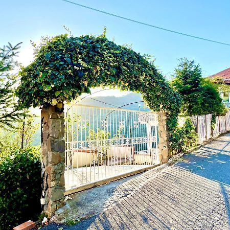 Casa Vacanza Paola Aurigo Εξωτερικό φωτογραφία