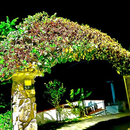 Casa Vacanza Paola Aurigo Εξωτερικό φωτογραφία